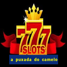 a puxada do camelo no jogo do bicho